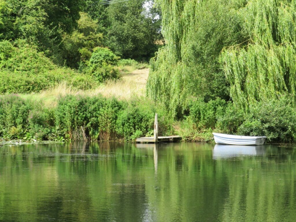 Surrounding nature at The Huts.